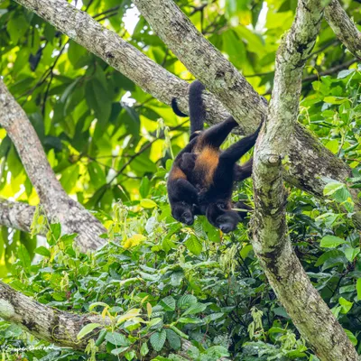 Costa Rica